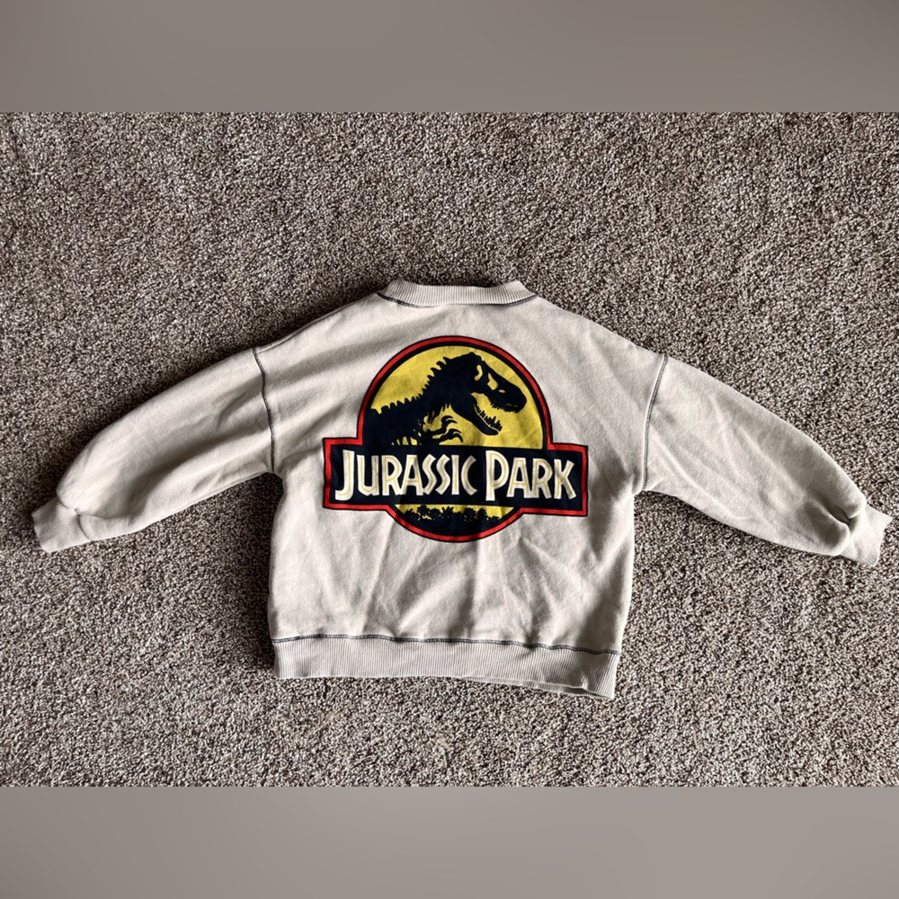 Zara boys size 3-4 Jurassic park sweatshirt